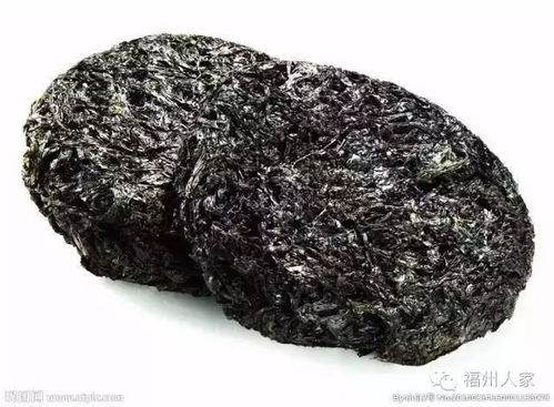 大局已定 今天起,請叫福州 國際榕