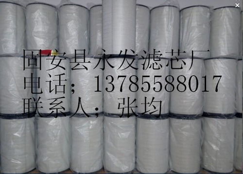 河北永發濾芯廠供應佛列加空氣濾芯3050除塵濾芯,河北永發濾芯廠供應佛列加空氣濾芯3050除塵濾芯生產廠家,河北永發濾芯廠供應佛列加空氣濾芯3050除塵濾芯價格